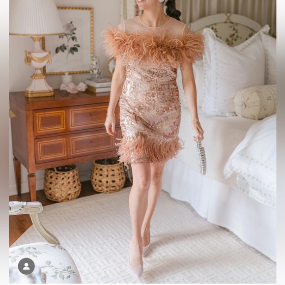 Antonio Melani x Nicola Bathie Rose Gold Sequin Feather Emelia Dress Sz2 NEW - Picture 2 of 13